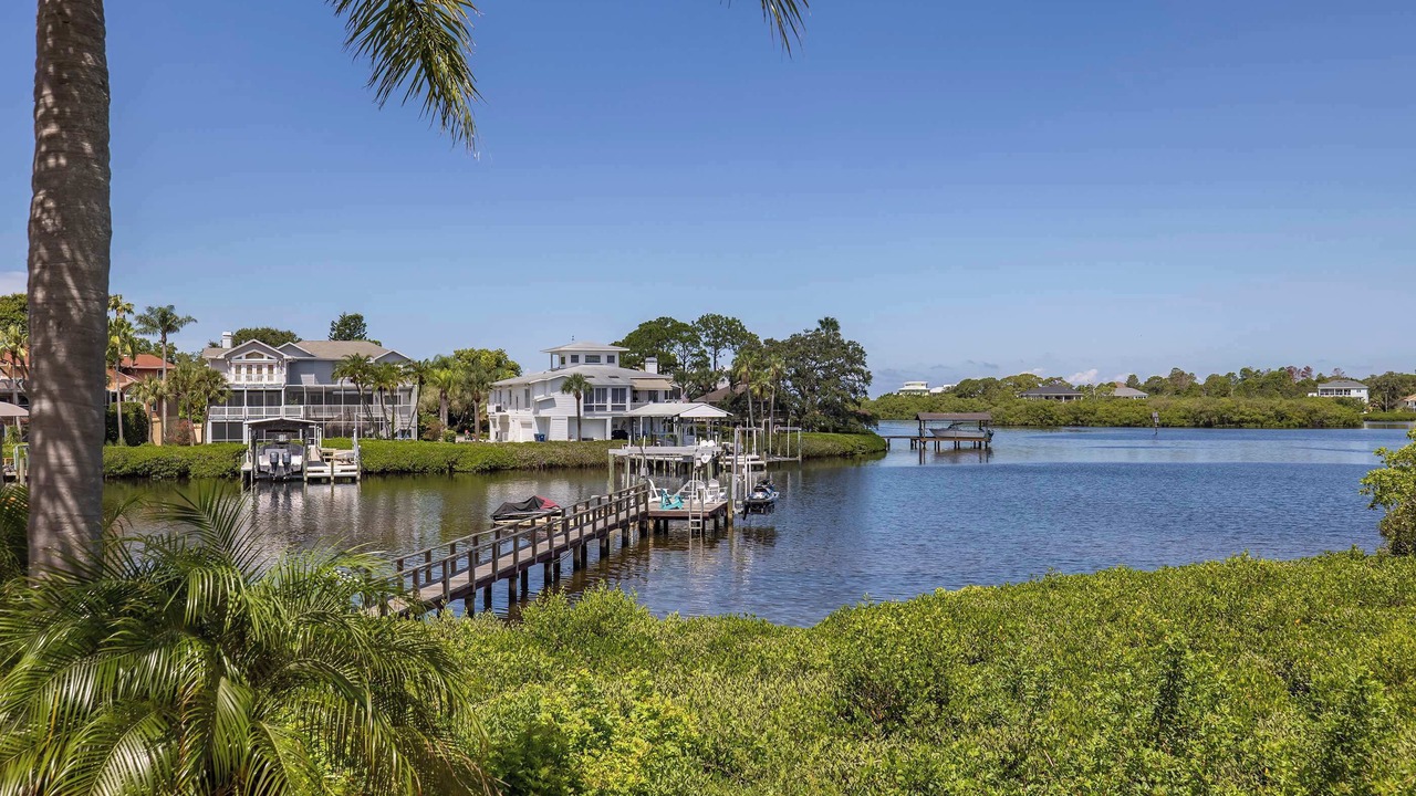 Photo of Others in Palm Harbor