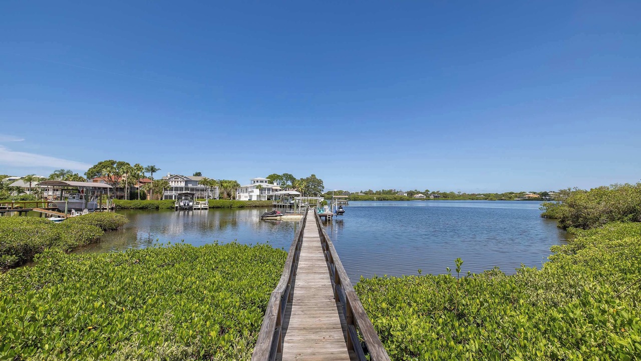 Photo of Others in Palm Harbor