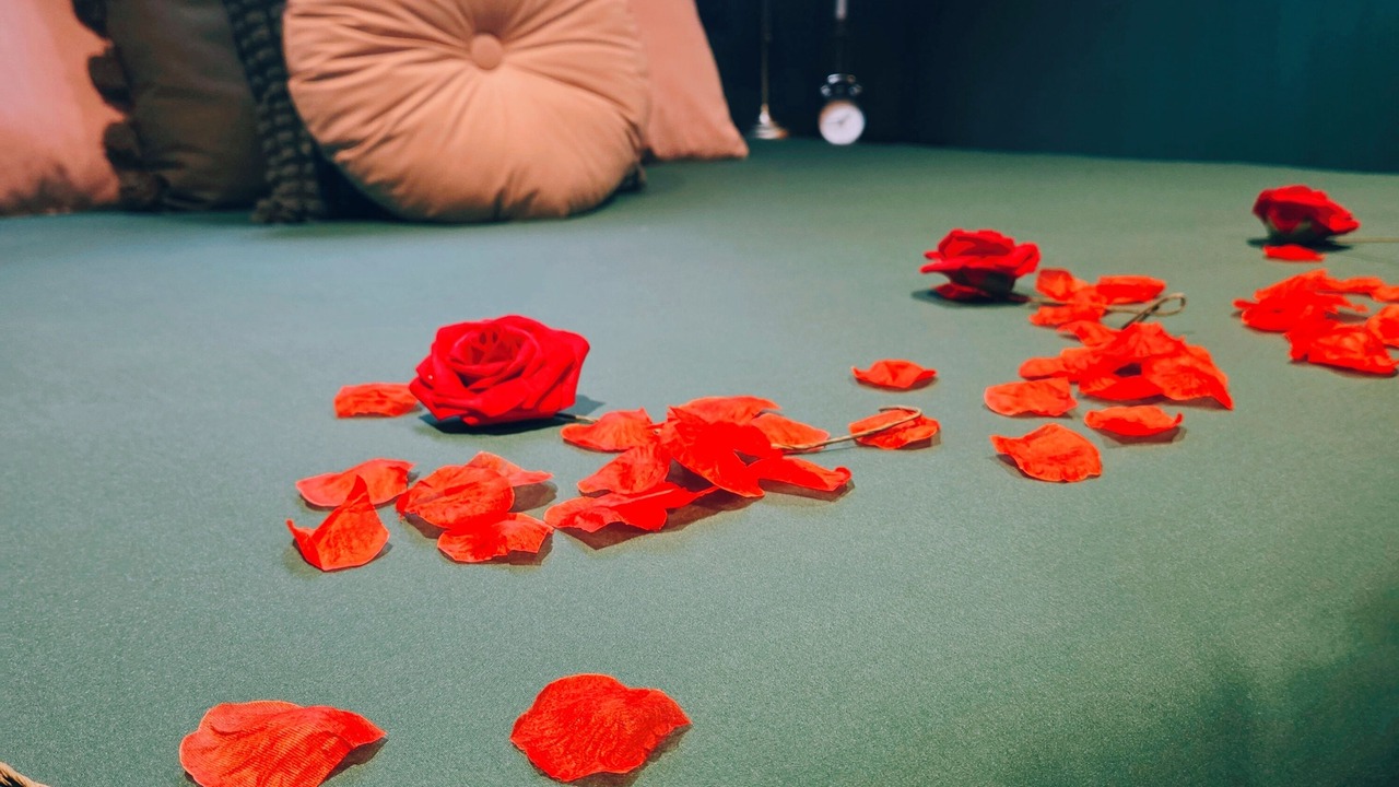 Photo of Bedroom in Bouguenais