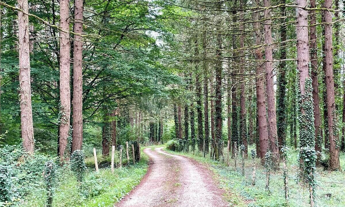 Photo of Others in Molineuf