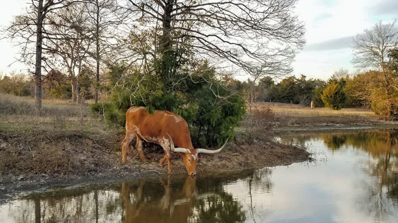 Photo of Others in Groesbeck