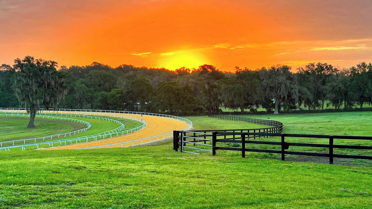 Photo of Others in Micanopy