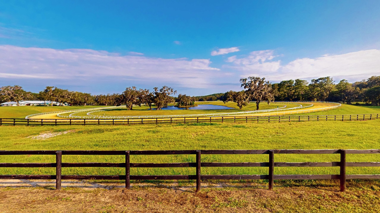 Photo of Others in Micanopy