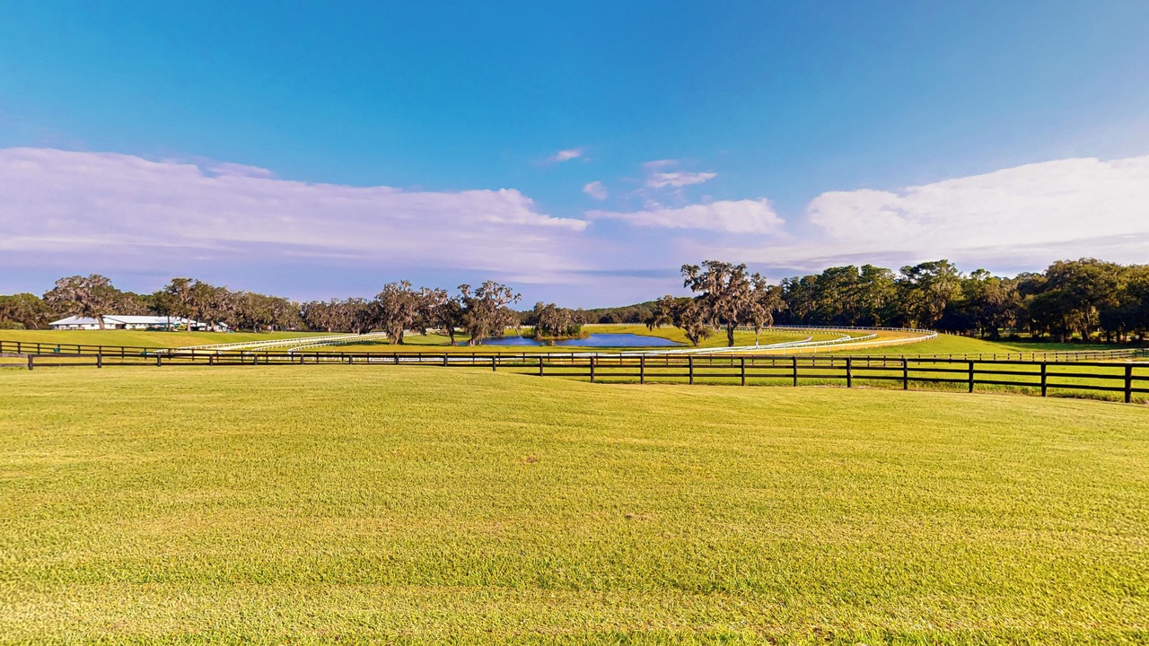 Photo of Others in Micanopy