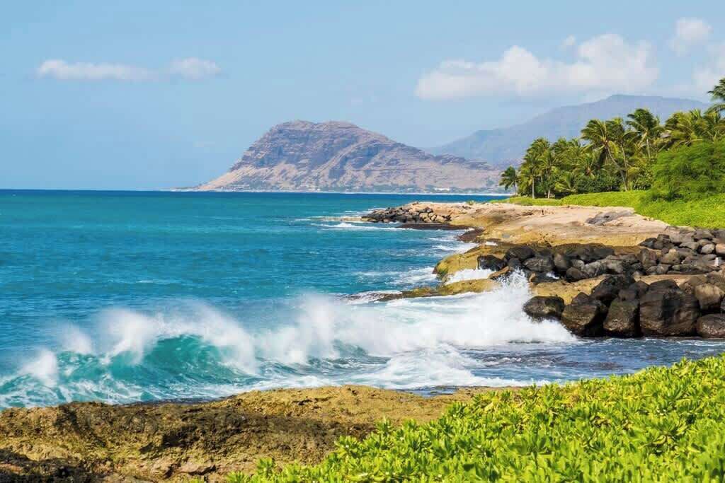 Photo of Others in Kapolei