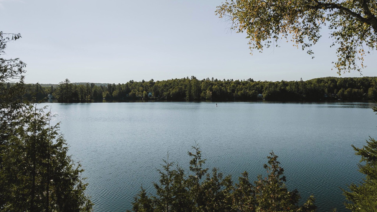 Photo of Others in Mauricie