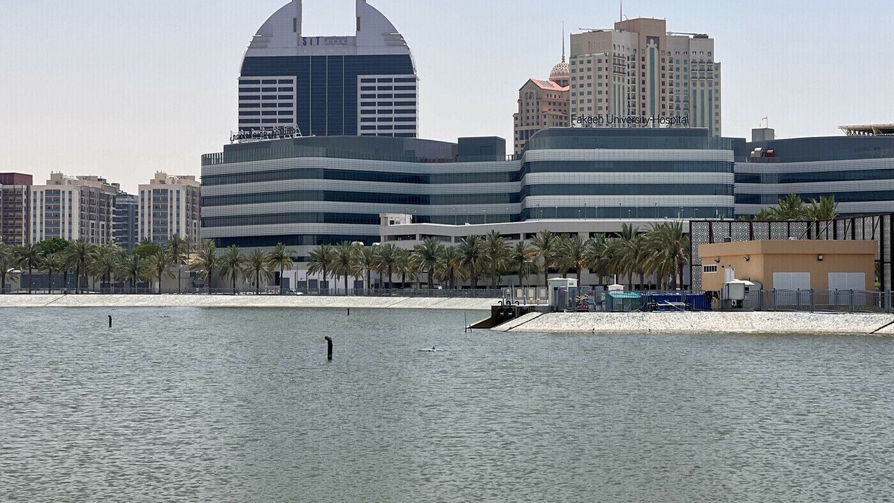 Photo of Others in Dubai