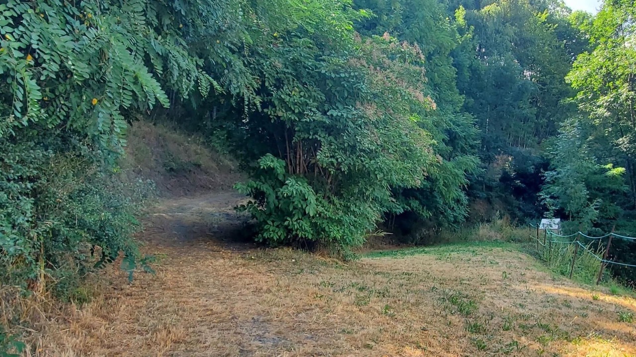 Photo of Outdoor in Seez