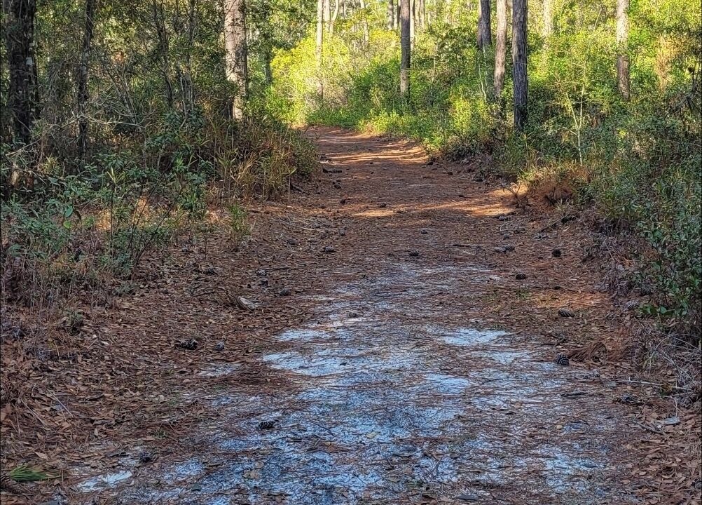 Photo of Outdoor in Cedar Island
