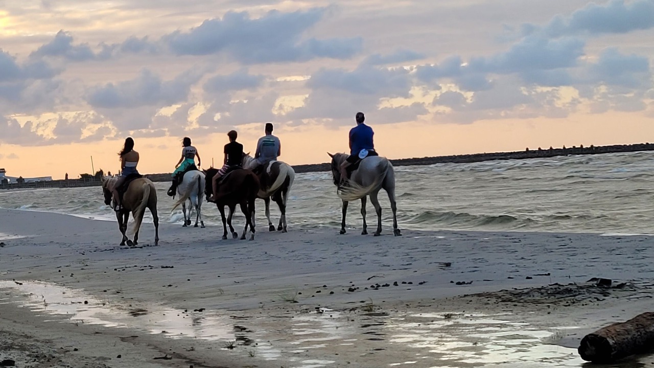 Photo of Others in Cedar Island