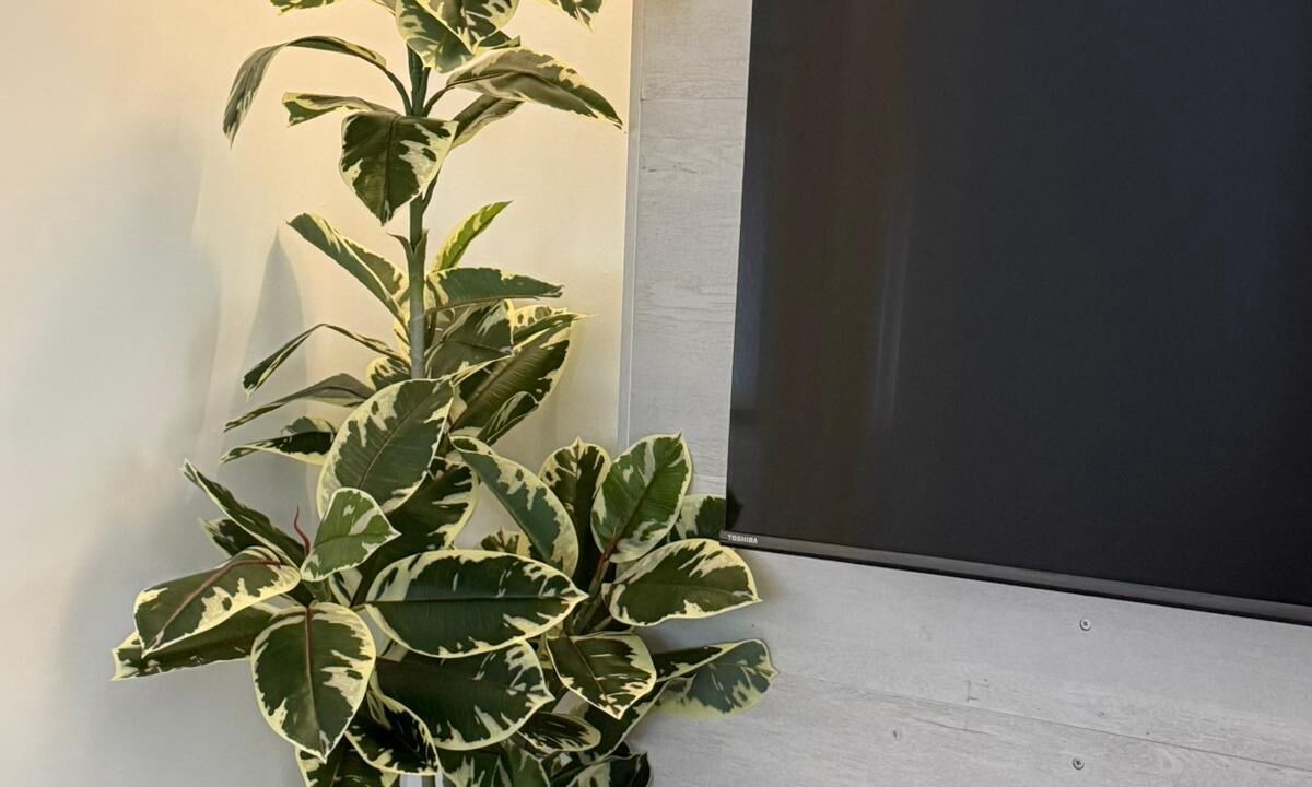 Photo of Others in White Plains