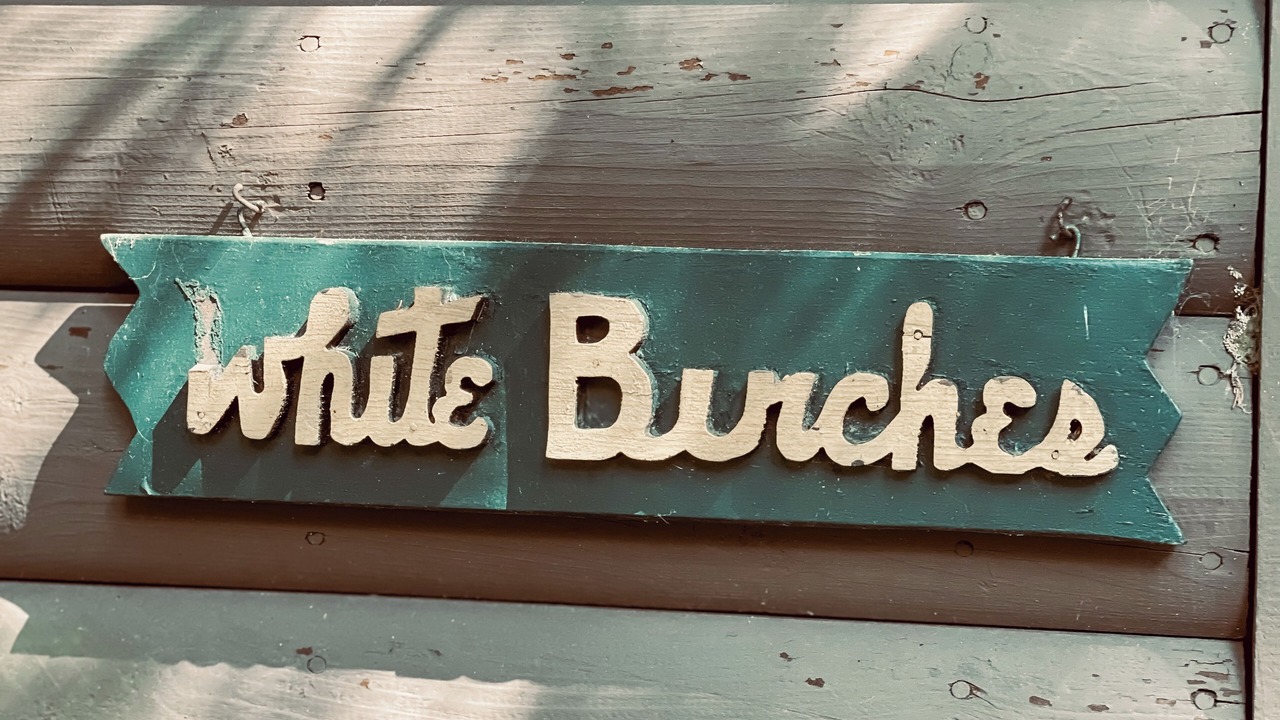 Photo of Outdoor in Northport