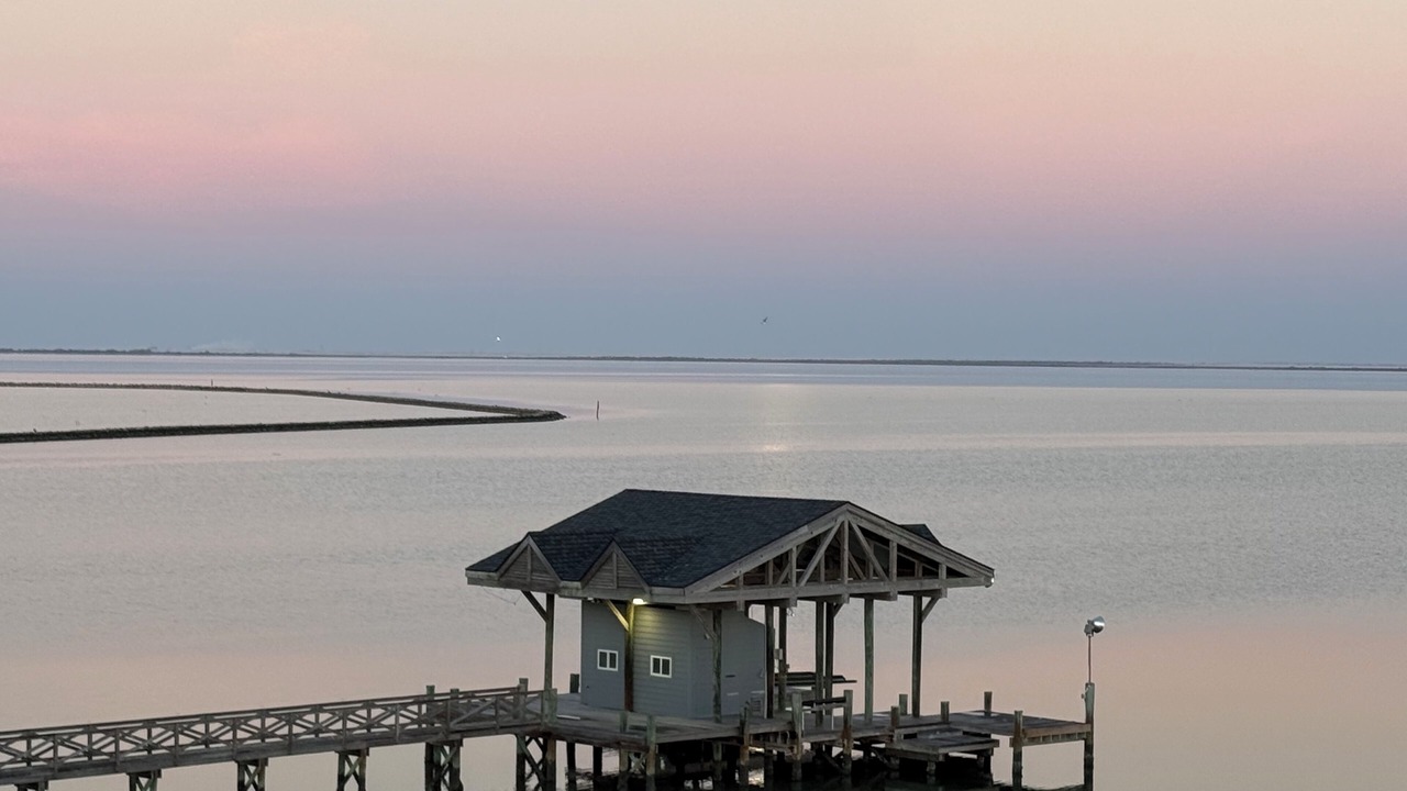 Photo of Others in Galveston