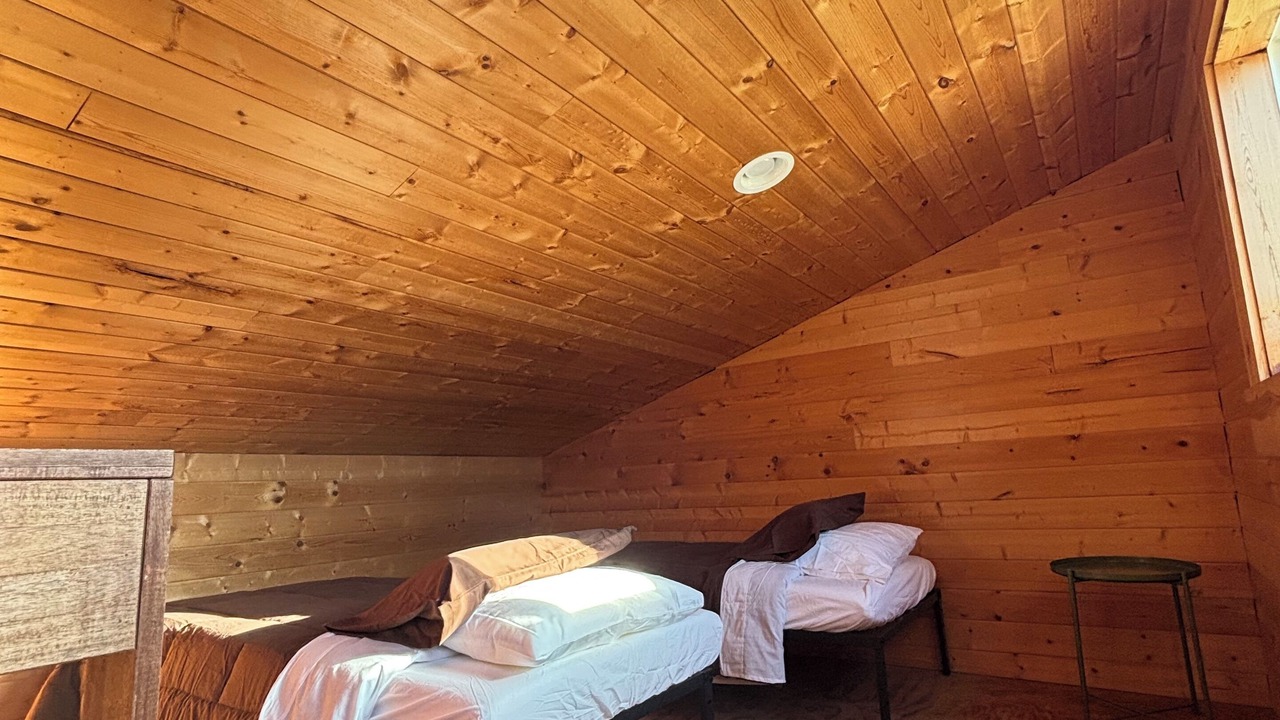 Photo of Others in Woods Creek