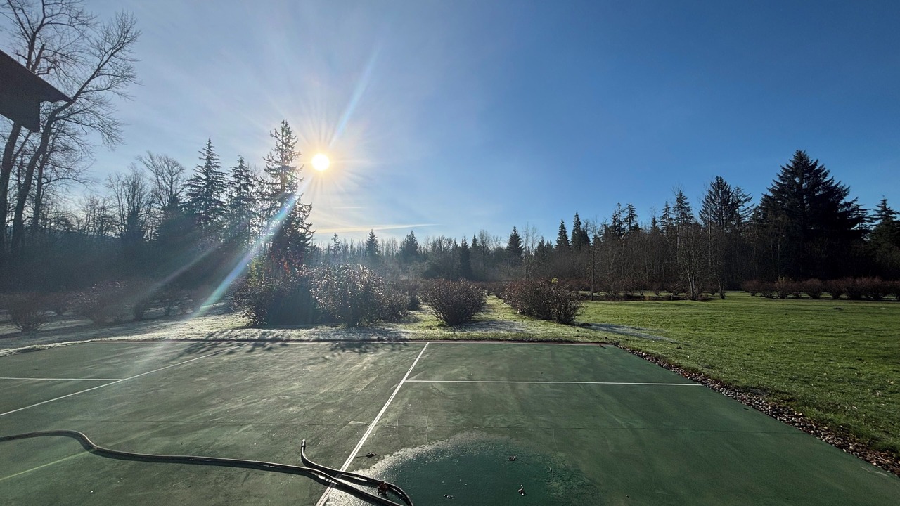 Photo of Others in Woods Creek