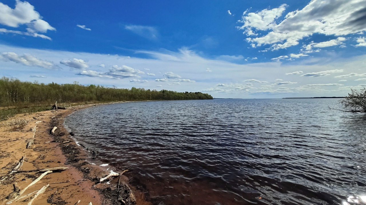 Photo of Others in Nekoosa