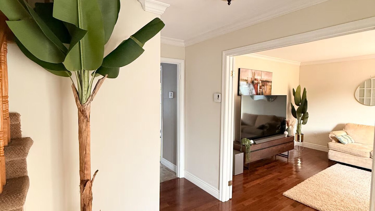 Photo of Livingroom in Mount Pearl