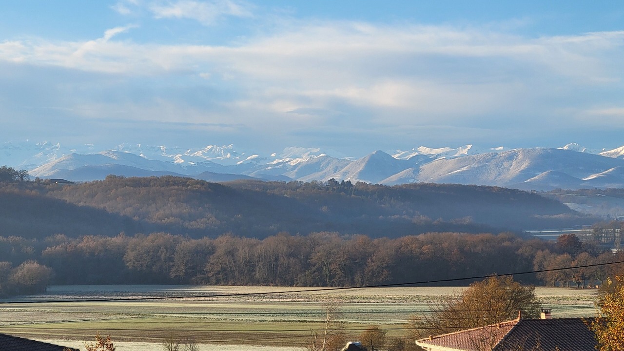 Photo of Others in Larcan