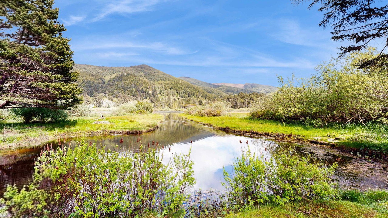 Photo of Others in Rockaway Beach