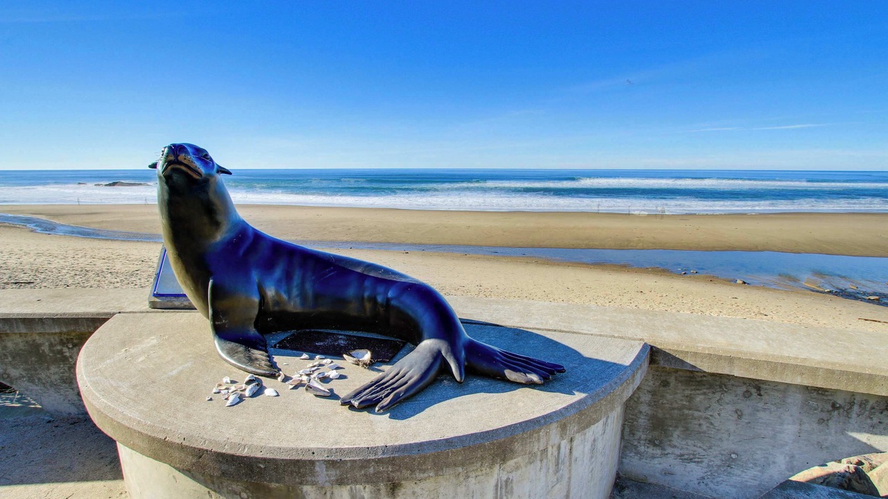 Photo of Others in Lincoln City