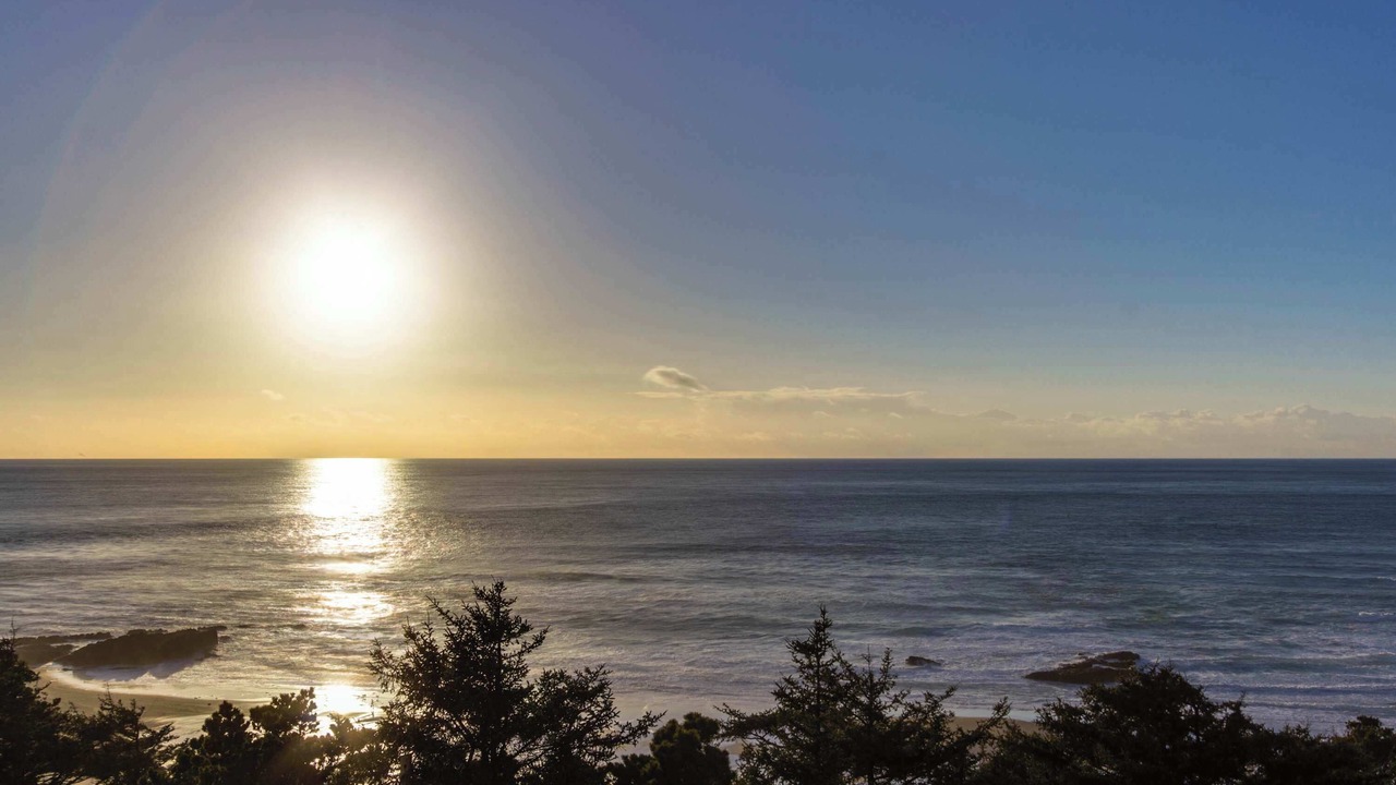 Photo of Others in Lincoln City