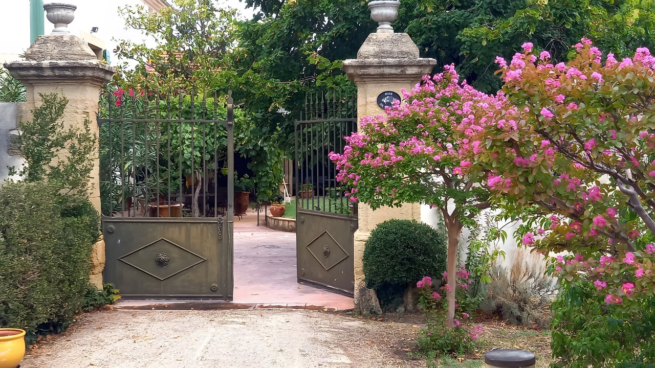 Photo of Outdoor in Violes