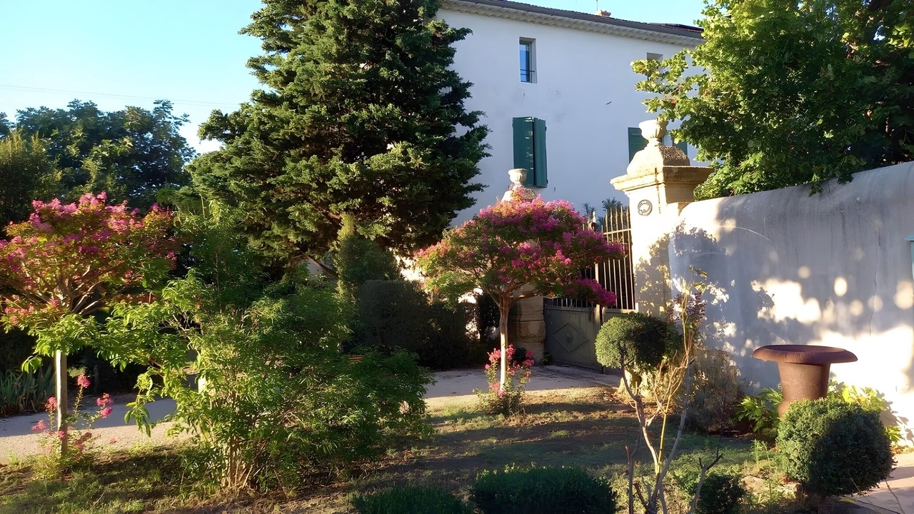 Photo of Outdoor in Violes