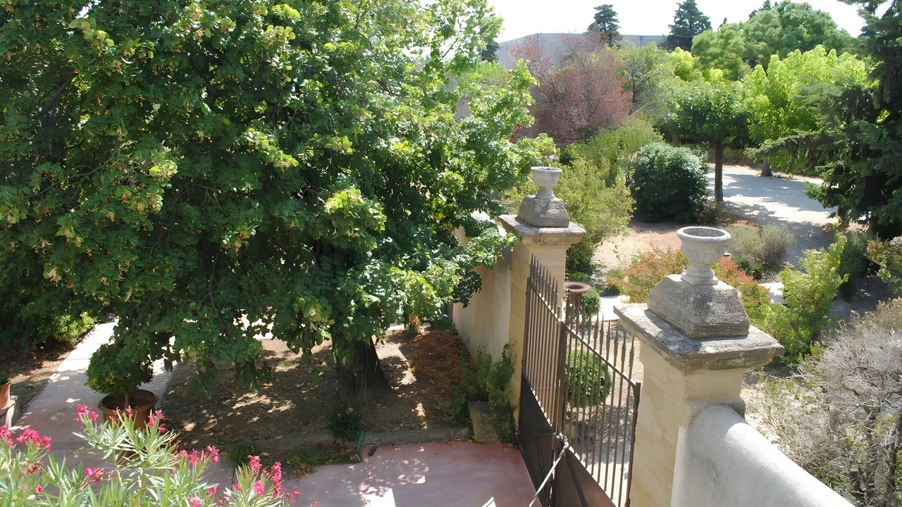 Photo of Outdoor in Violes