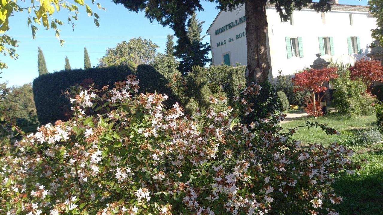 Photo of Outdoor in Violes