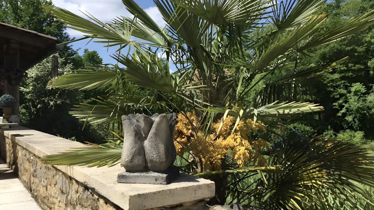 Photo of Outdoor in Loubejac