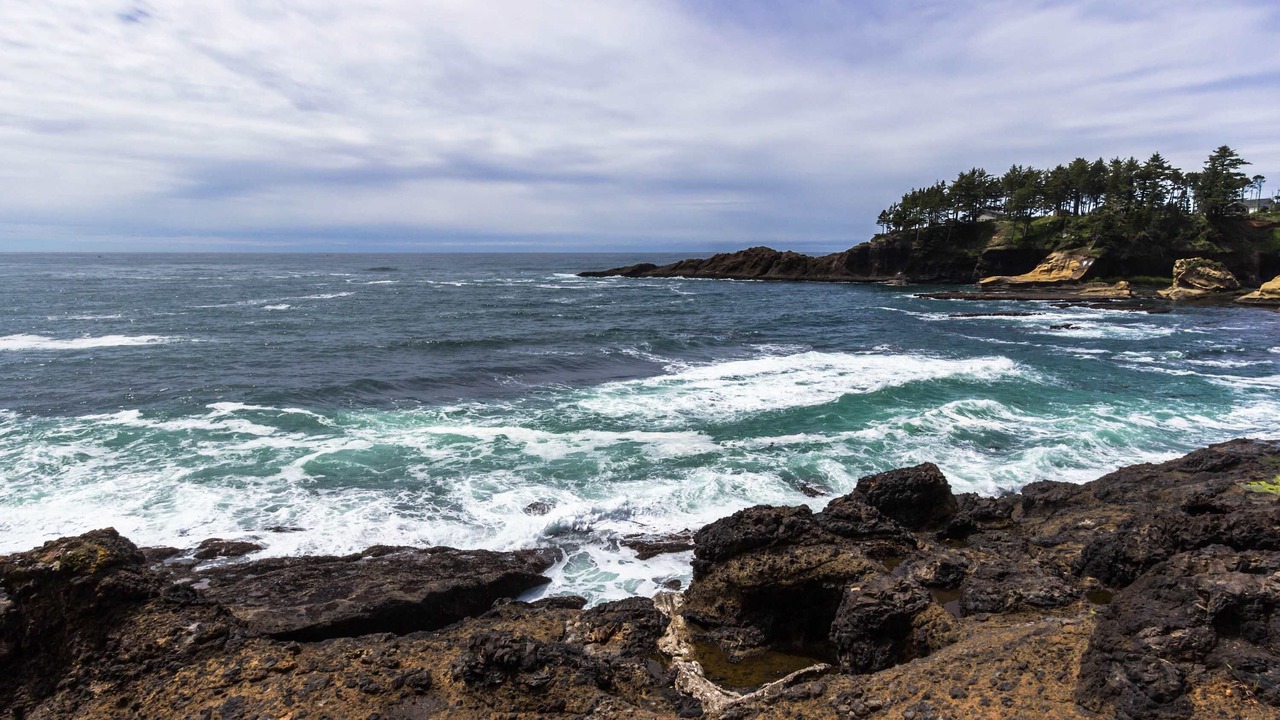 Photo of Others in Depoe Bay