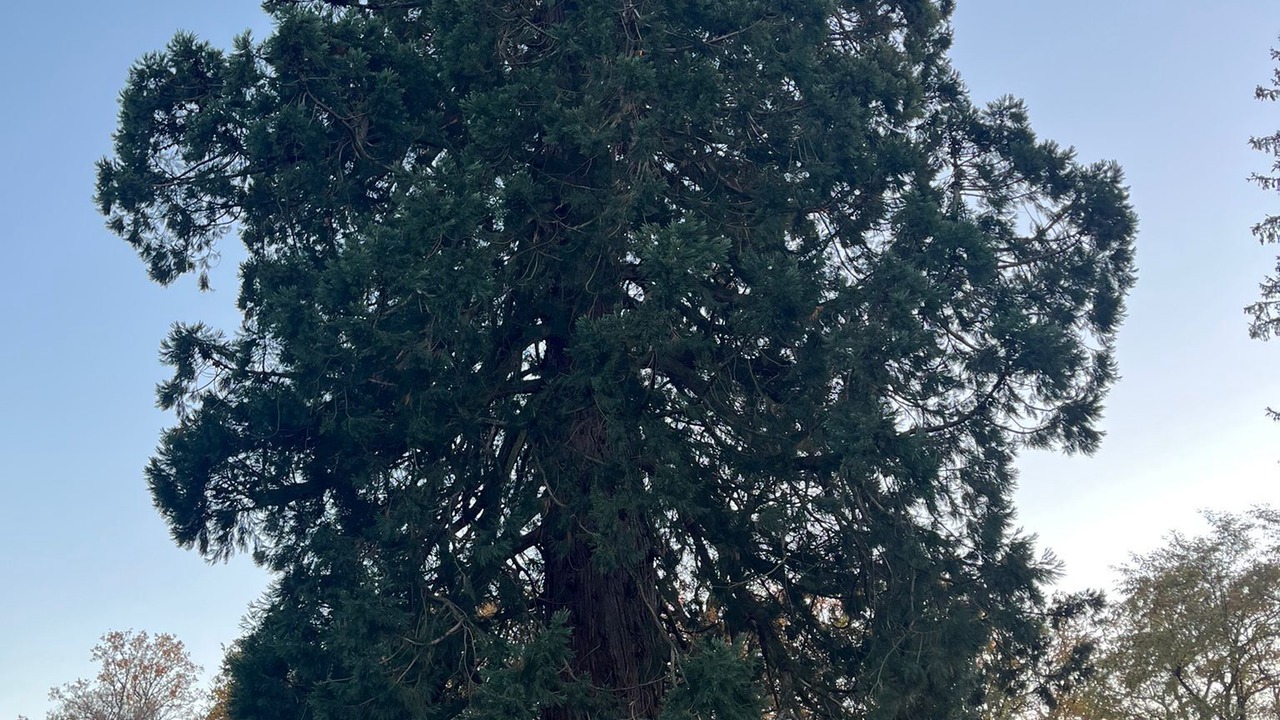 Photo of Others in Le Mayet-de-Montagne