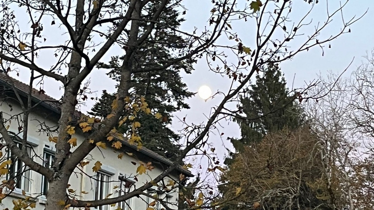 Photo of Others in Le Mayet-de-Montagne