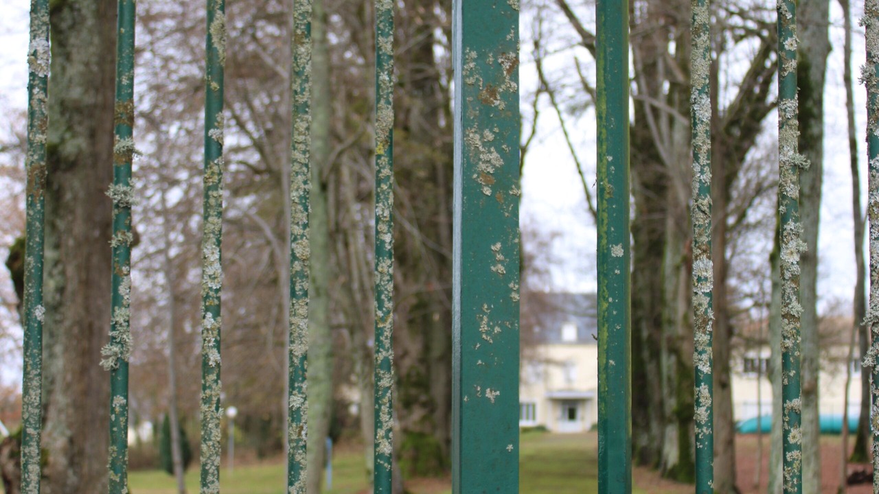Photo of Outdoor in Le Mayet-de-Montagne