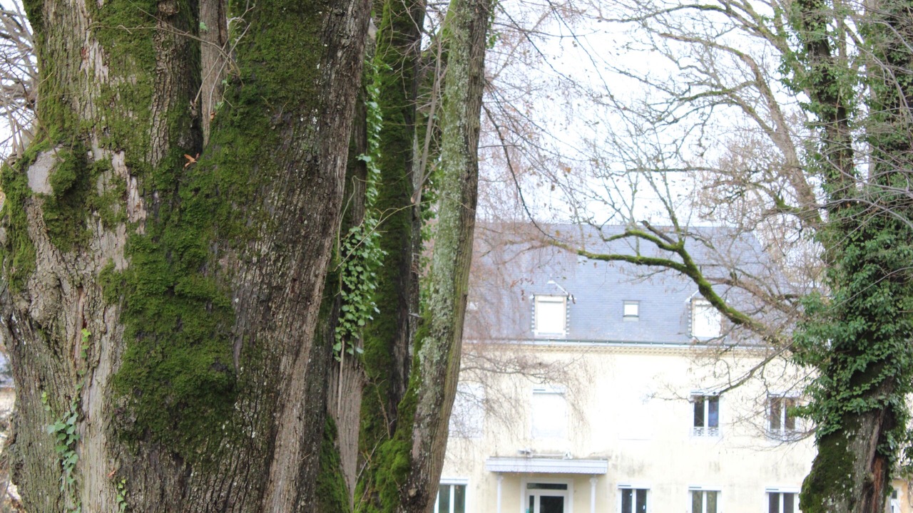 Photo of Outdoor in Le Mayet-de-Montagne