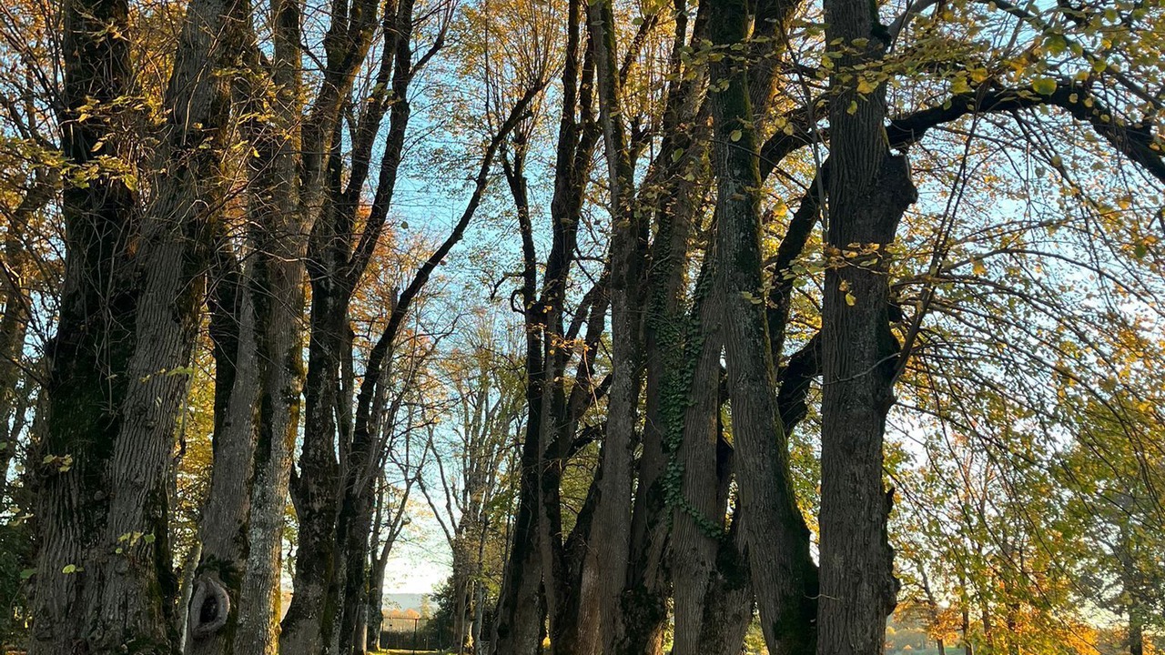 Photo of Others in Le Mayet-de-Montagne