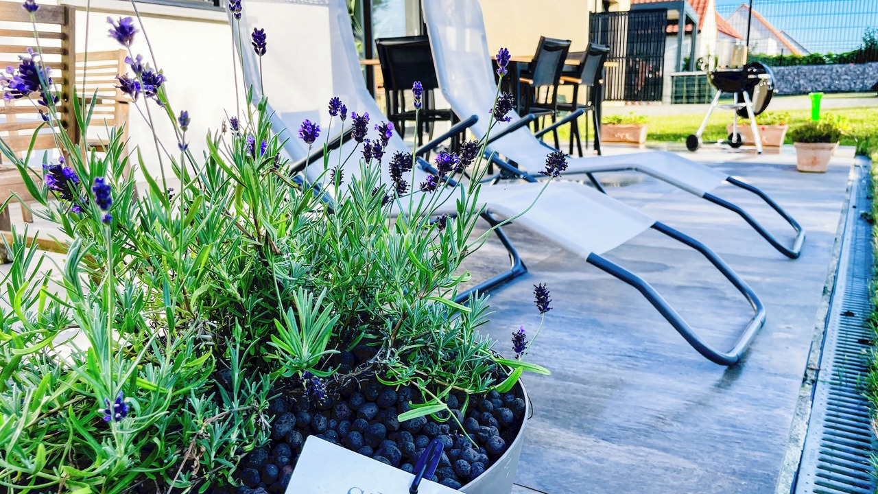 Photo of Patio Balcony in Audinghen