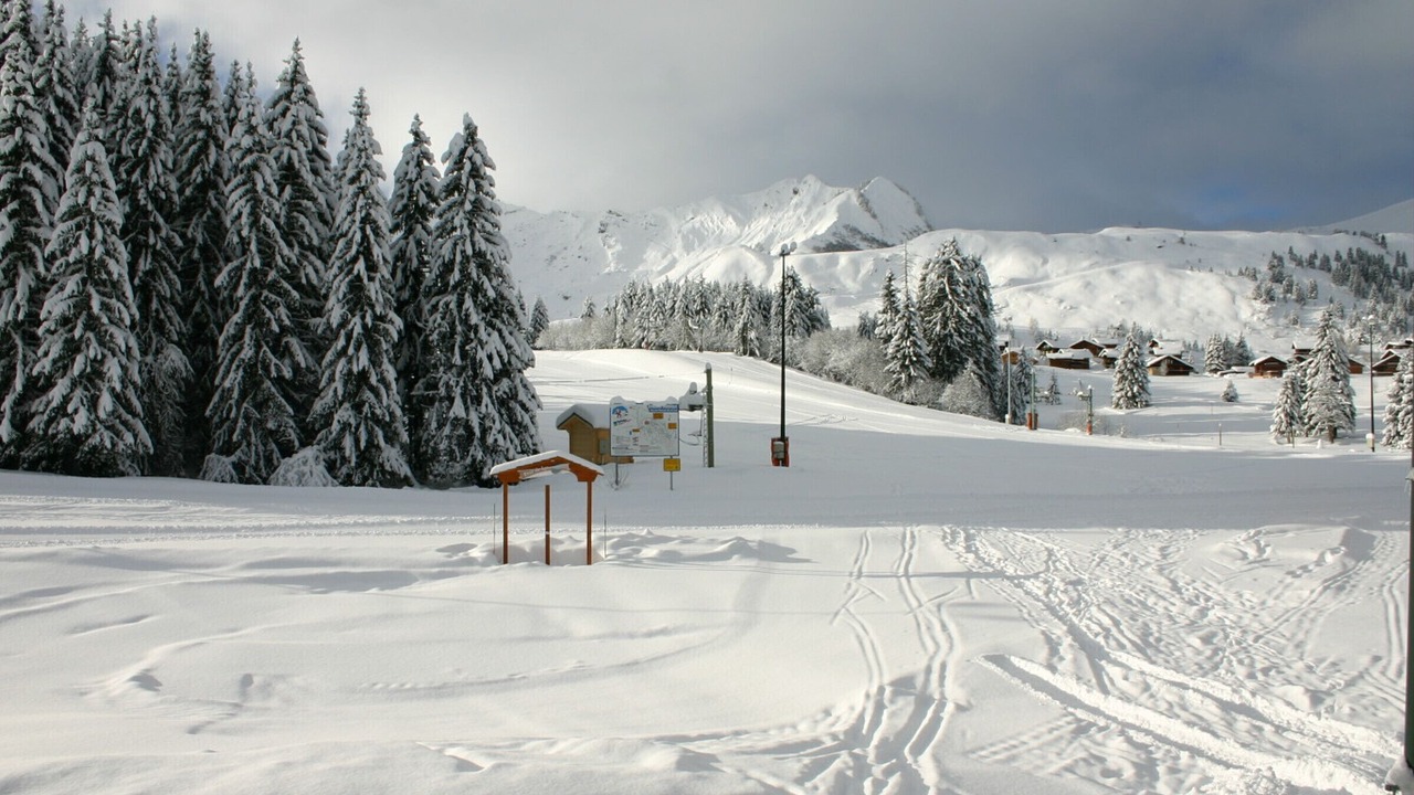 Photo of Others in Le Praz de Lys