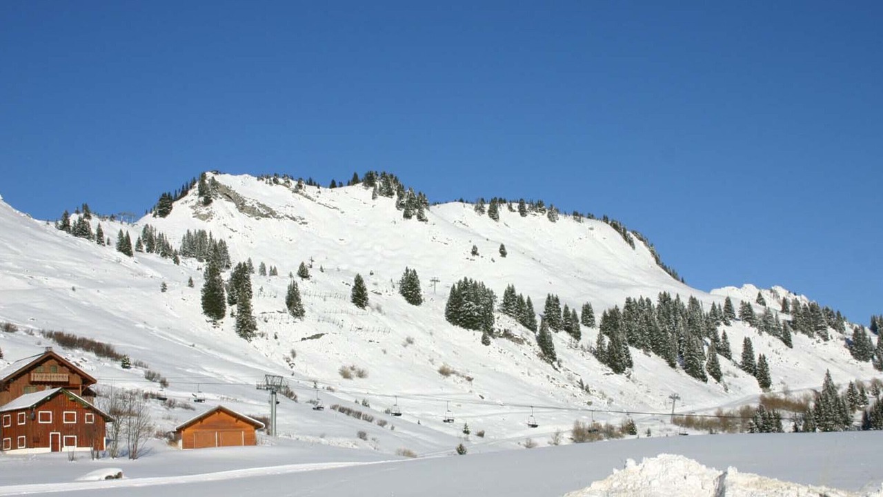 Photo of Others in Le Praz de Lys