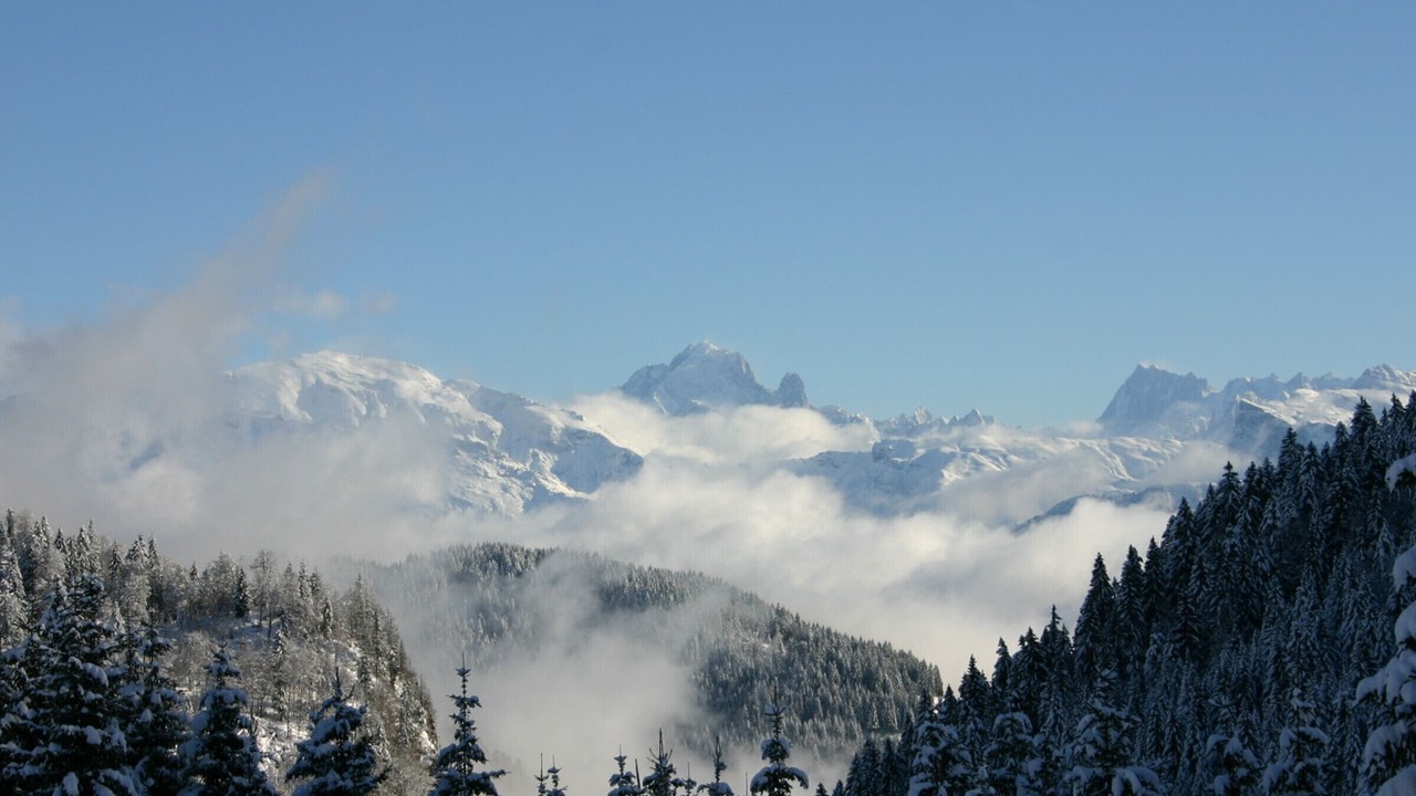 Photo of Others in Le Praz de Lys