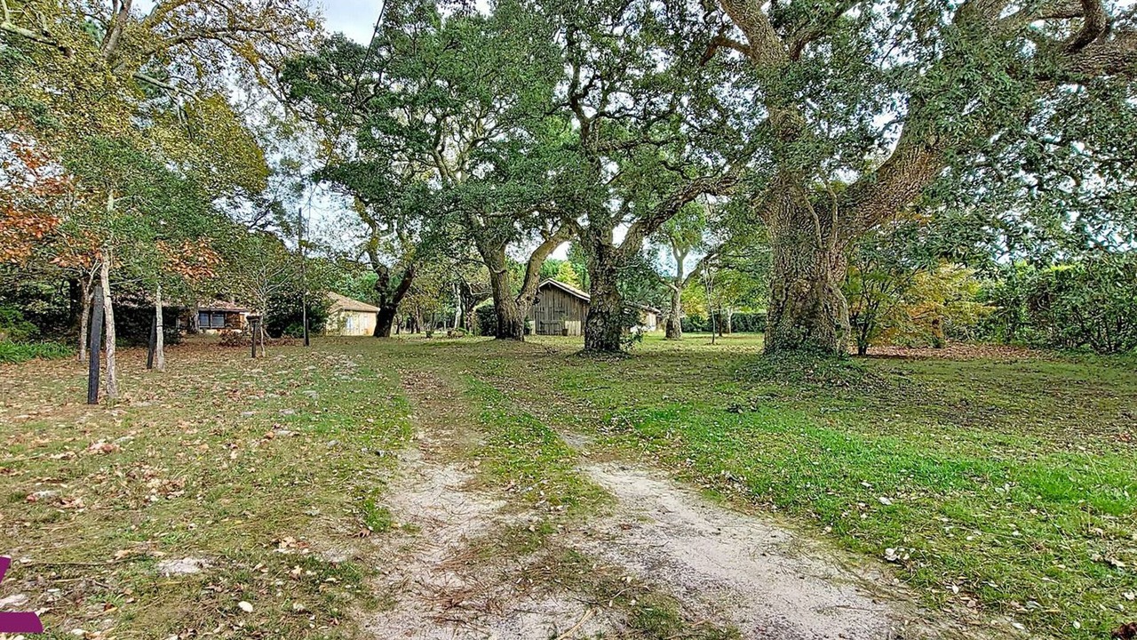 Photo of Others in Messanges