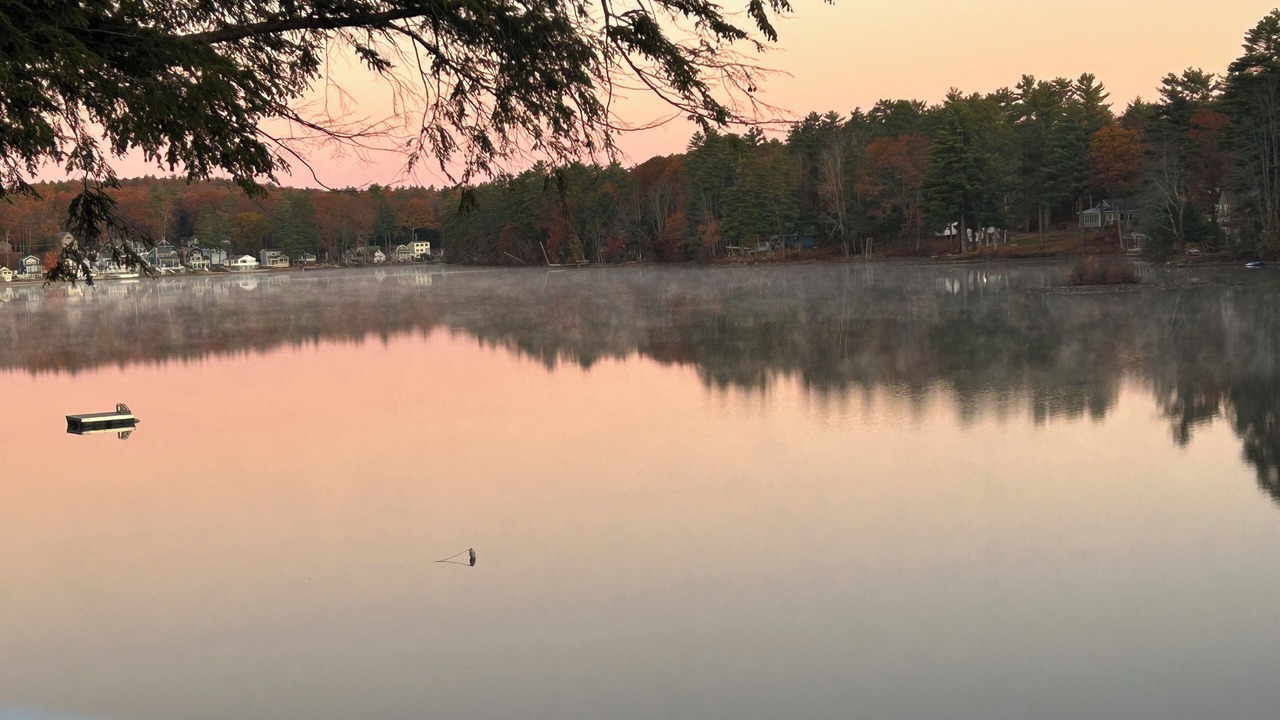 Photo of Others in Shapleigh