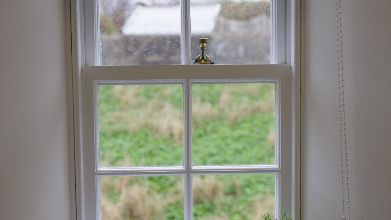 Photo of Others in Scalloway