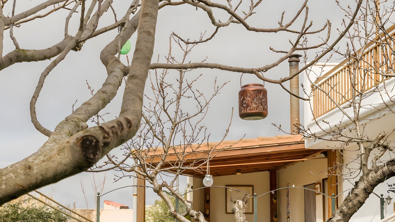 Photo of Outdoor in Valtierra