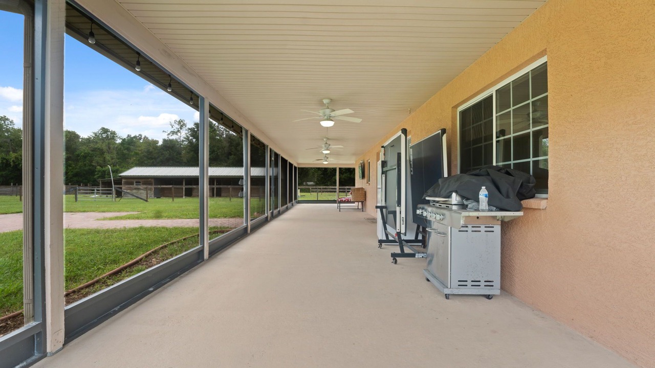 Photo of Patio Balcony in Wesley Chapel
