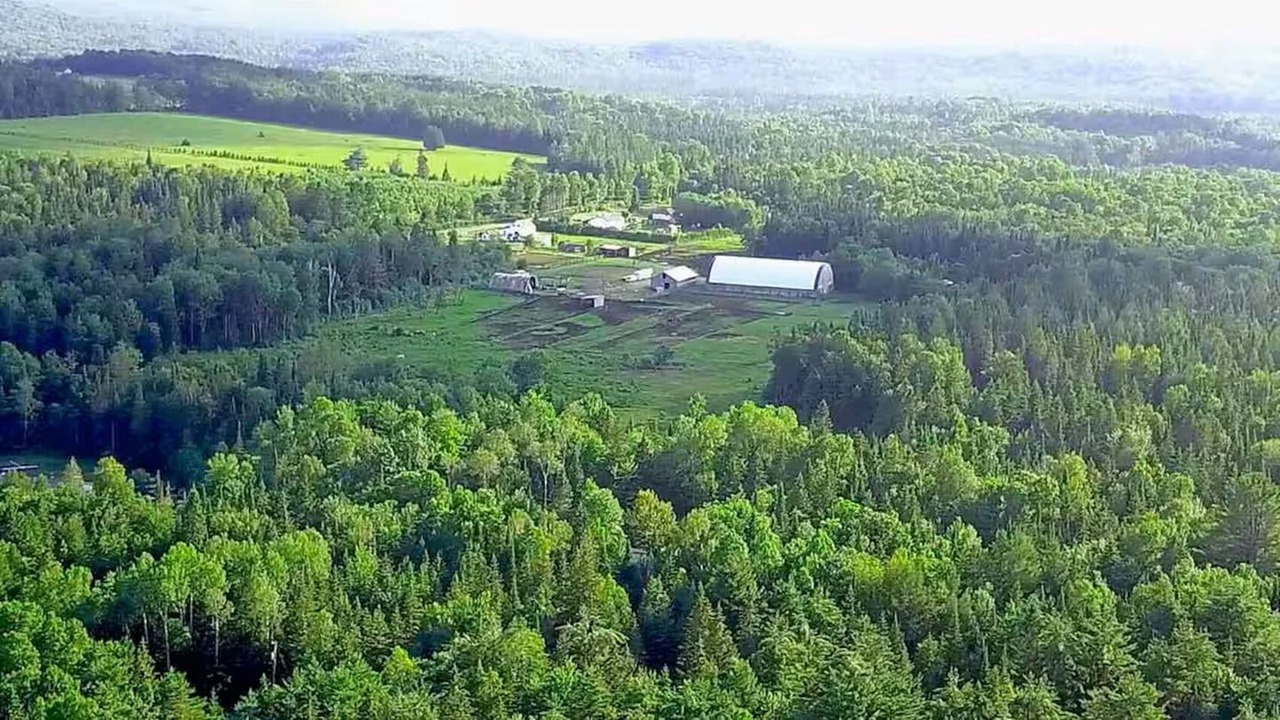 Photo of Outdoor in Hastings Highlands