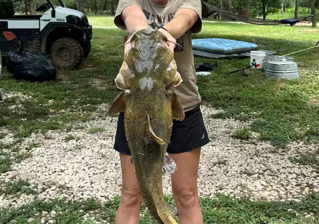 Photo of Others in Smithville