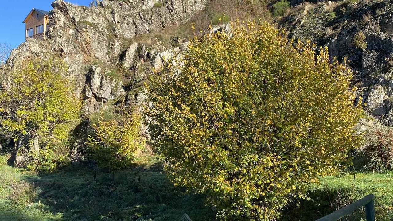 Photo of Outdoor in Siaugues-Sainte-Marie