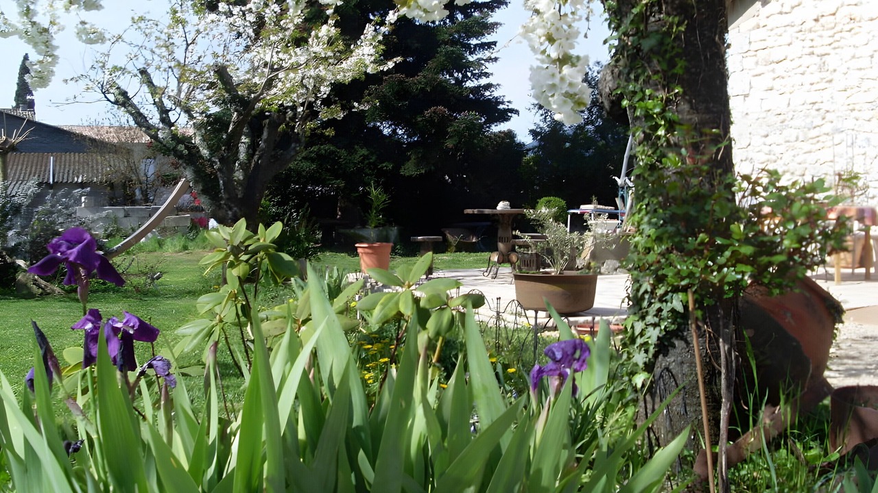 Photo of Outdoor in Vallon-Pont-d'Arc
