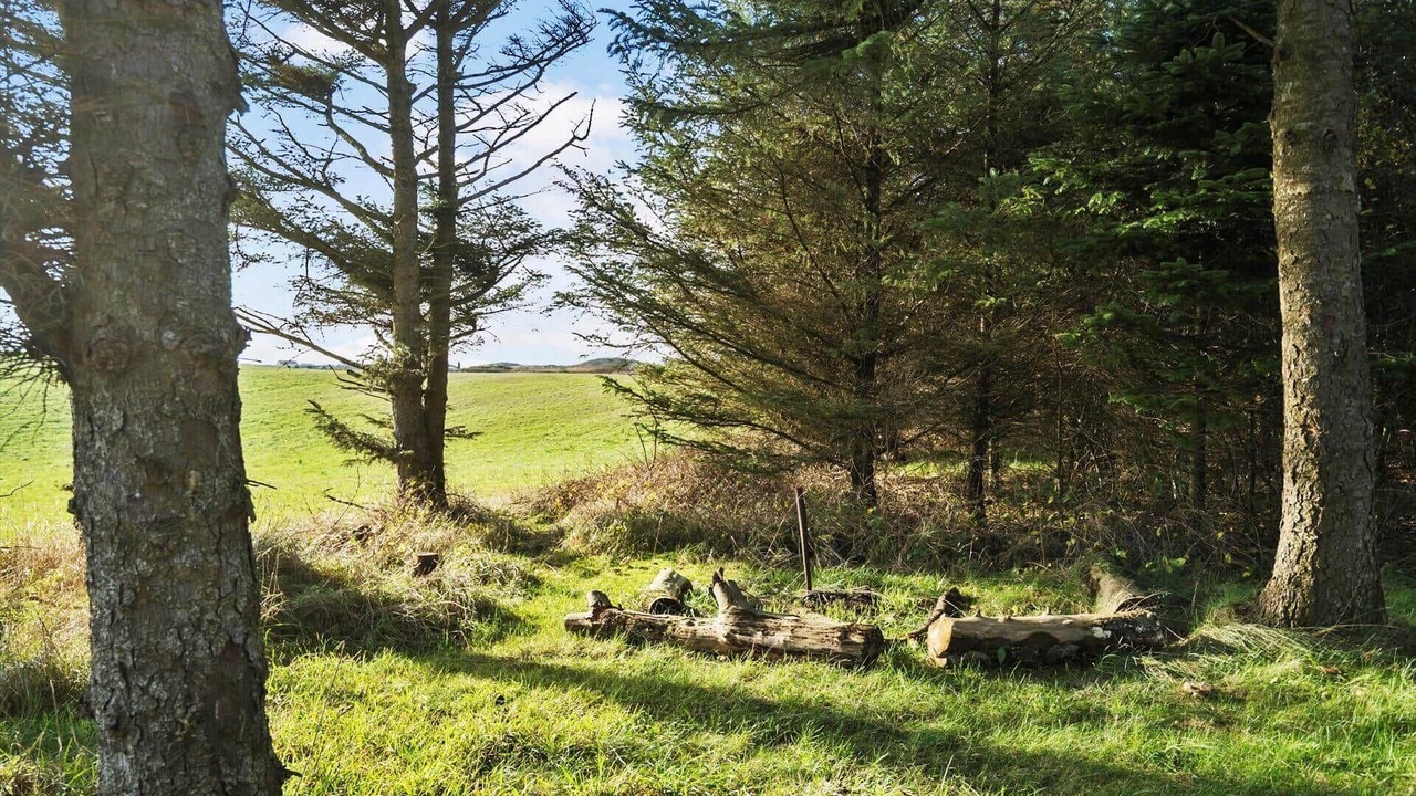 Photo of Others in Trans